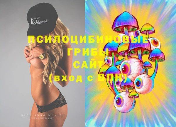 PSILOCYBIN Заволжье