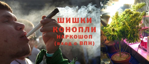 PSILOCYBIN Заволжье