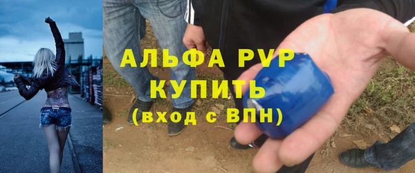 PSILOCYBIN Заволжье