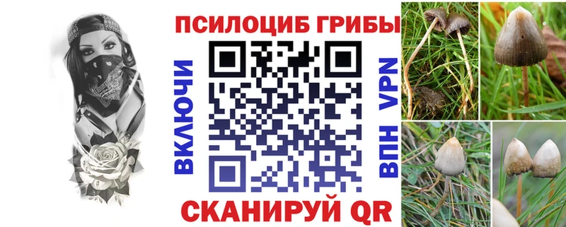 Галлюциногенные грибы Cubensis  Саянск 