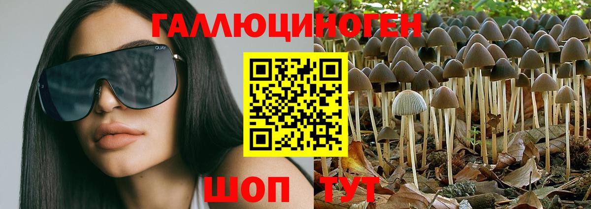 Галлюциногенные грибы GOLDEN TEACHER Саянск